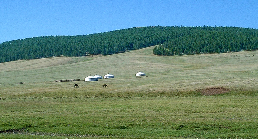DSCF3738 2002 